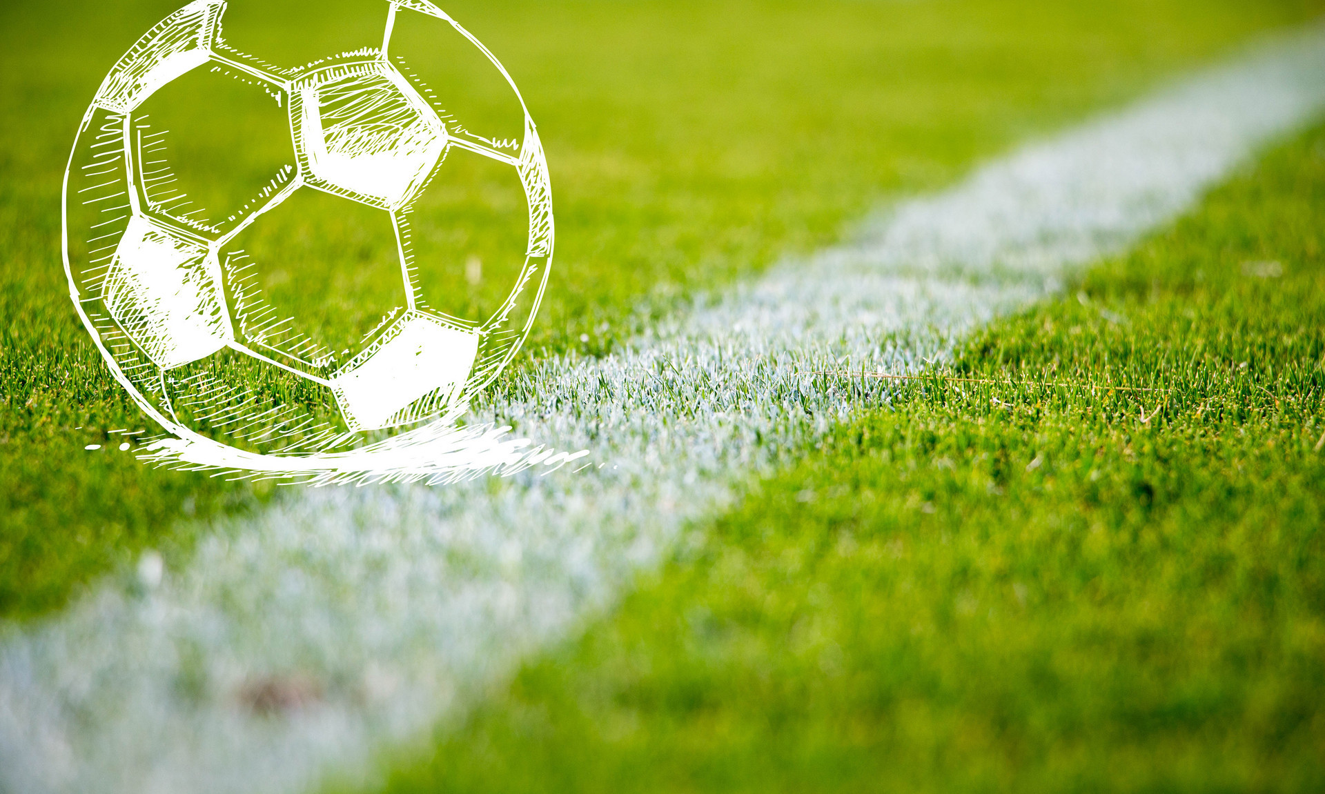 的出色表现 的出色表现