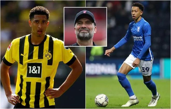 获得高质量 获得高质量